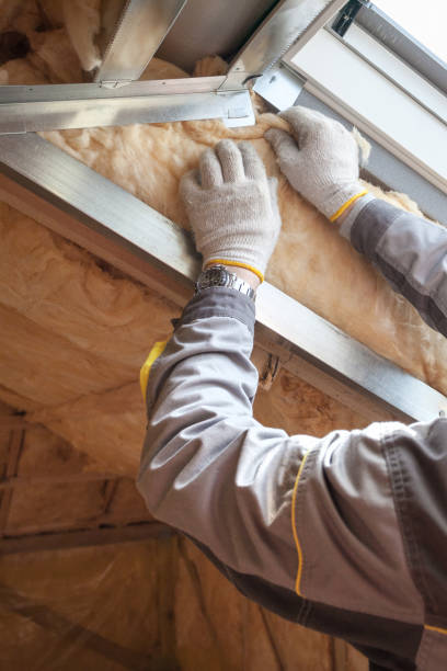 Best Attic Insulation Installation  in USA